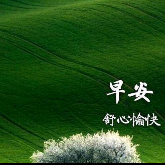 蓝莓1