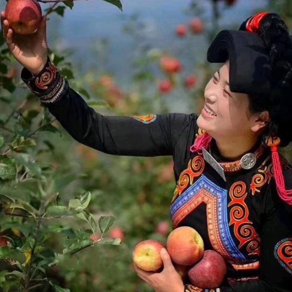 云煜智供应链