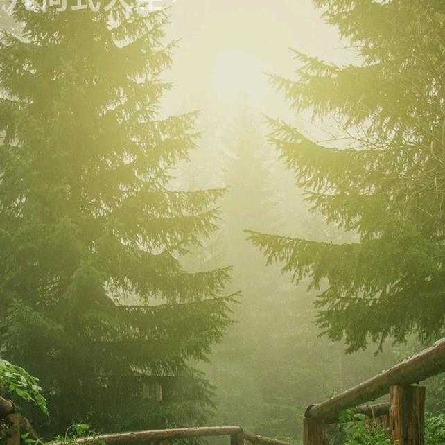 用户1645235141040阿叔