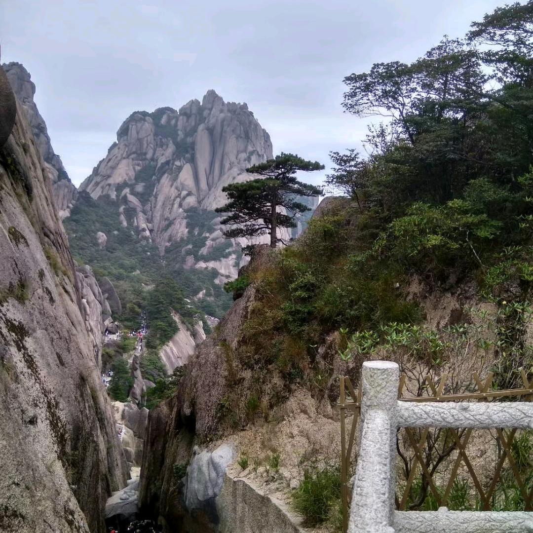 雄哥
