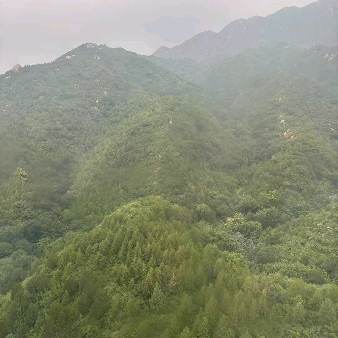 安好