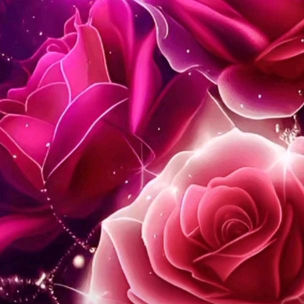 ❤顺其自然🌹🌹