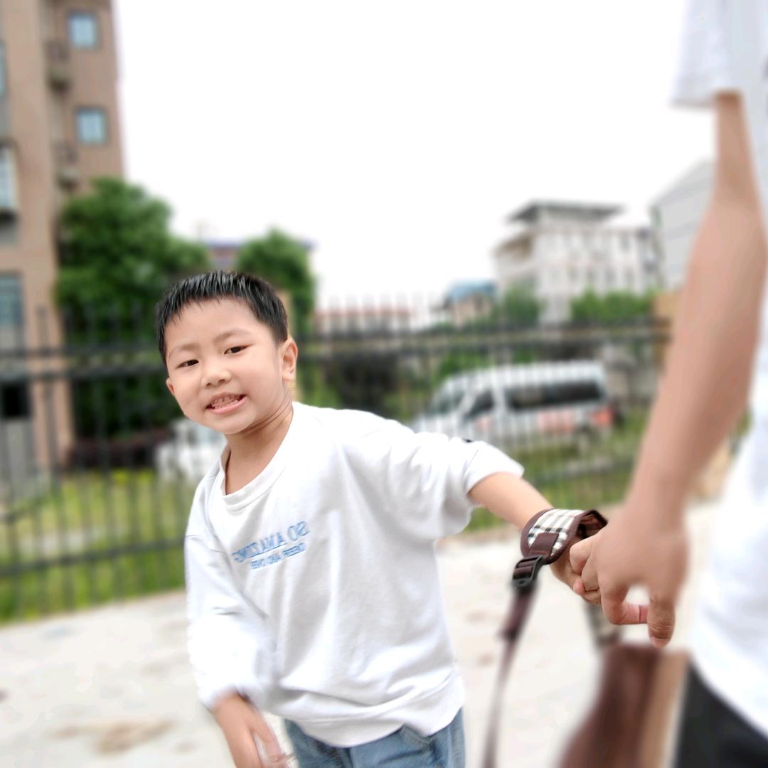 老谭vlog