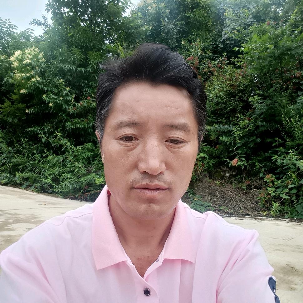 一人孤单李