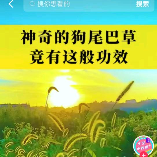 好好学习