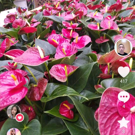 梦想，8点10分开播