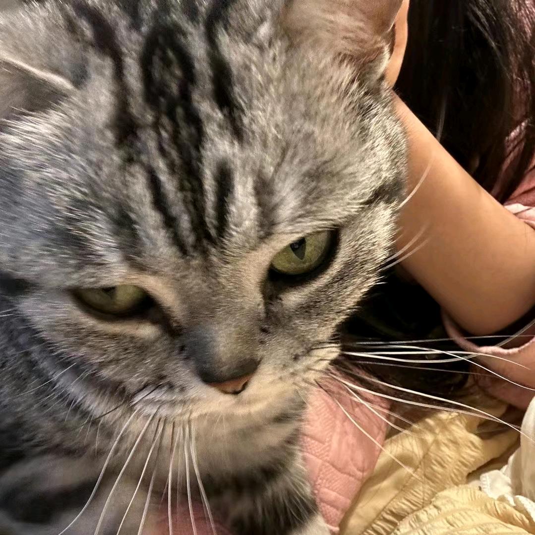 爬不上去