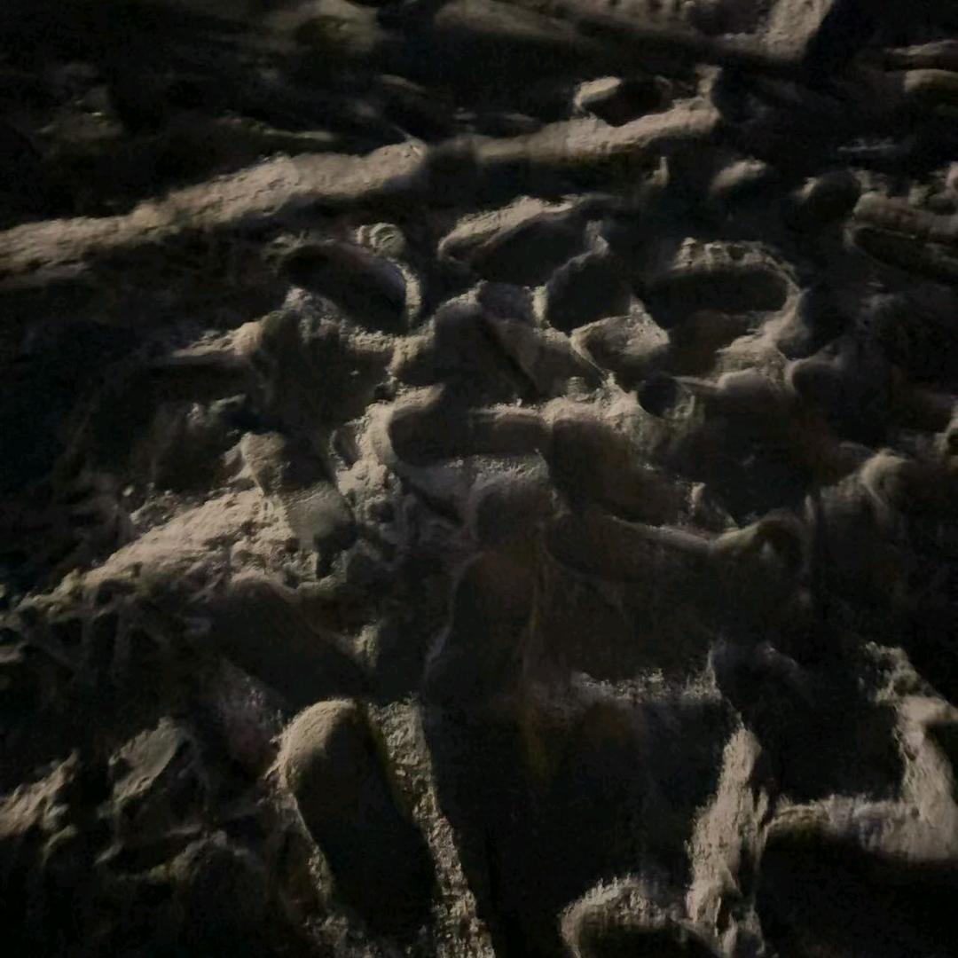 好好搭