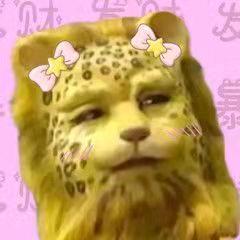 桥豆麻袋2