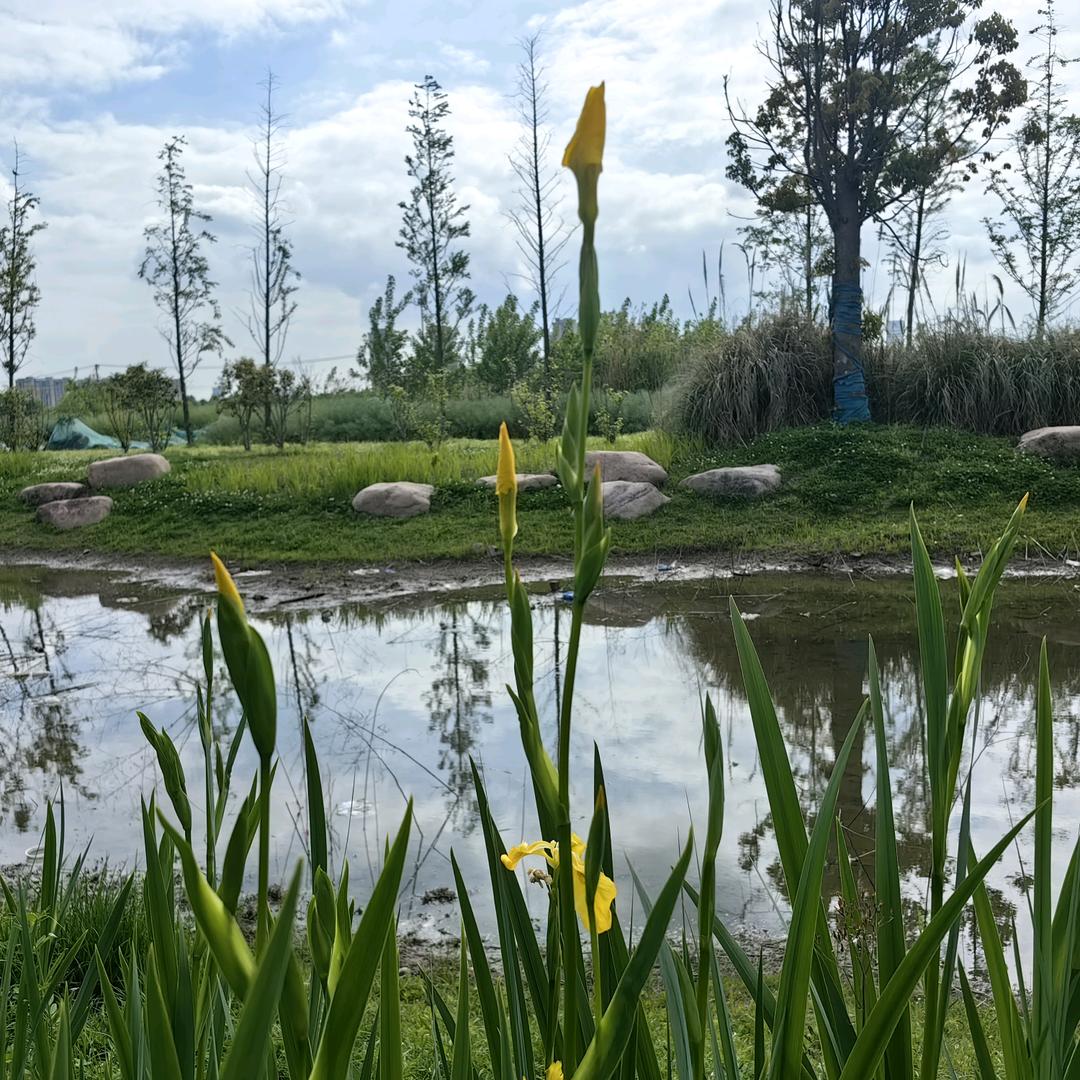 李岳鹏，护栏网 市政围挡！