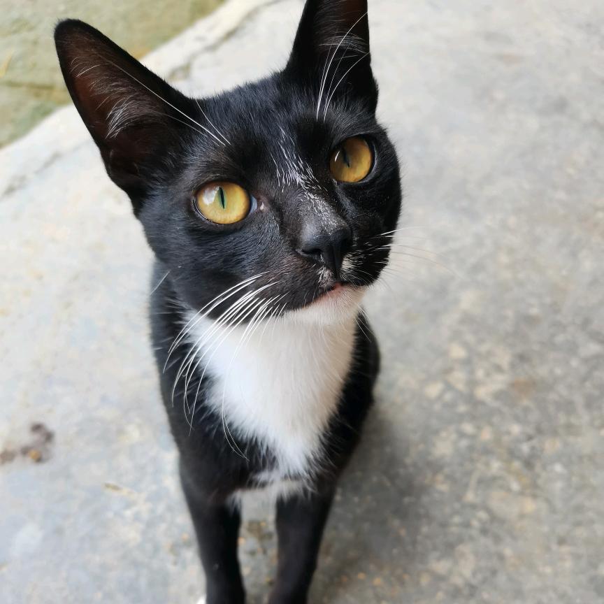 💦伤感小王子💦