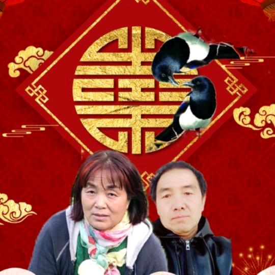 天籁之音张彦宏