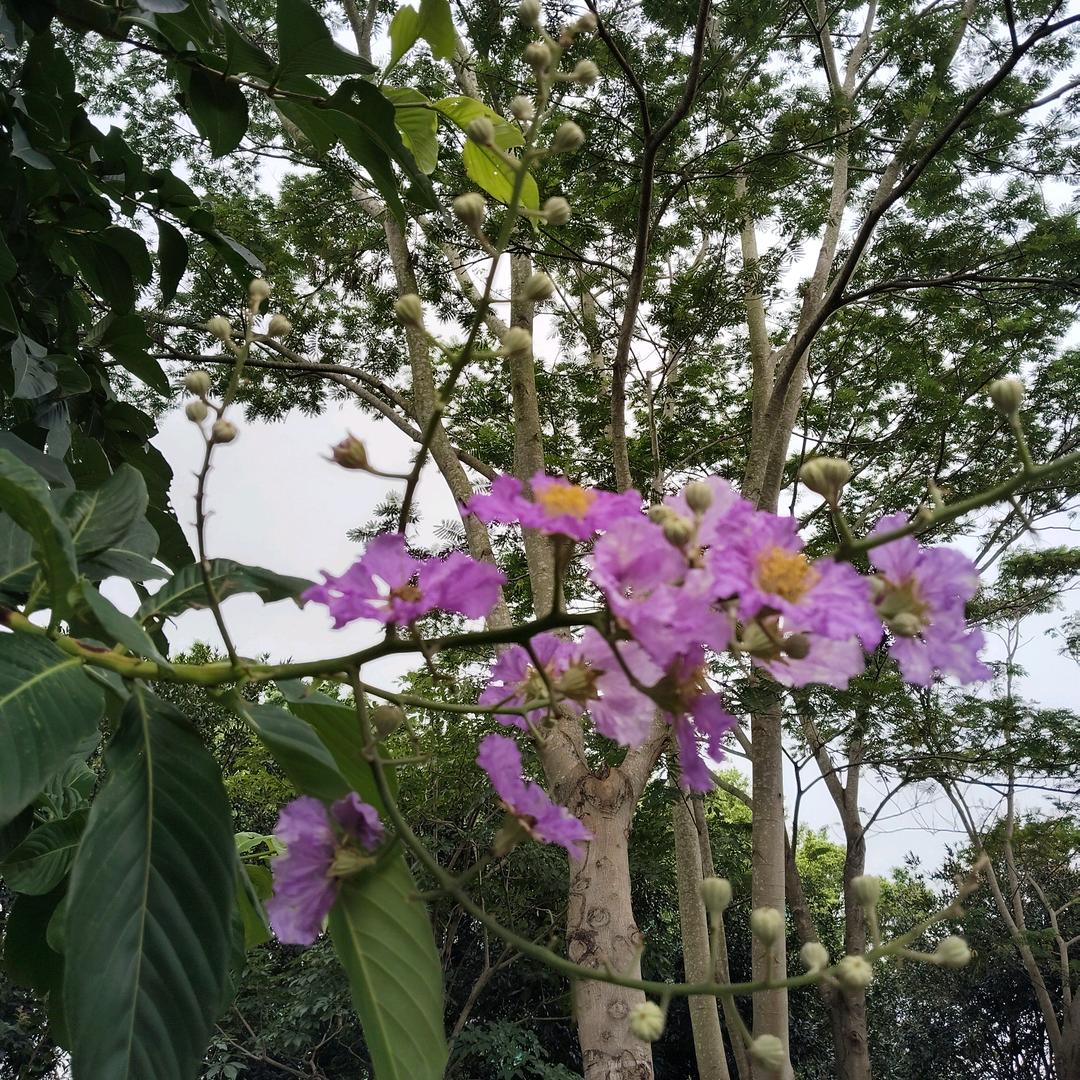 烟雨江南