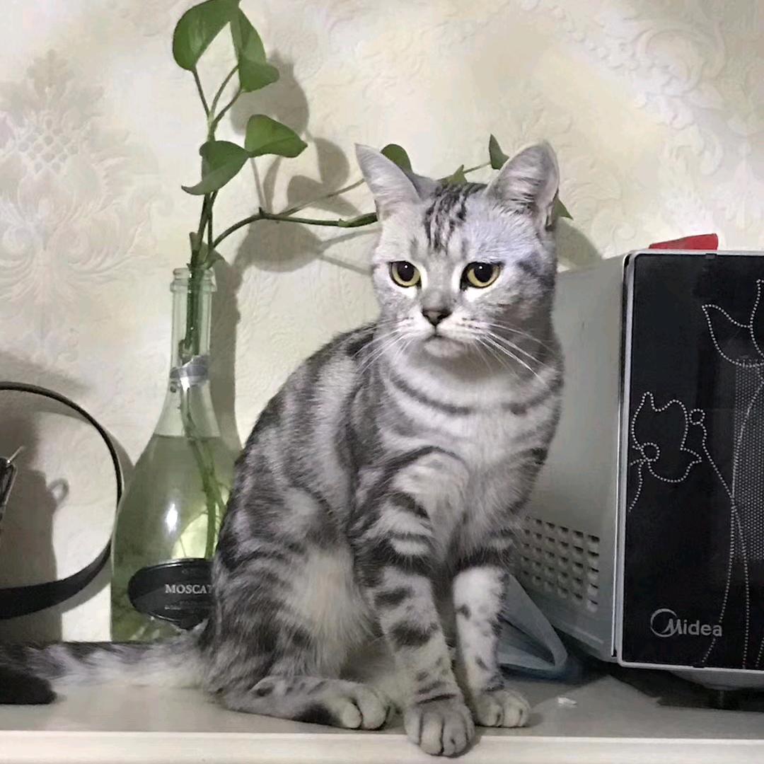 惜颜