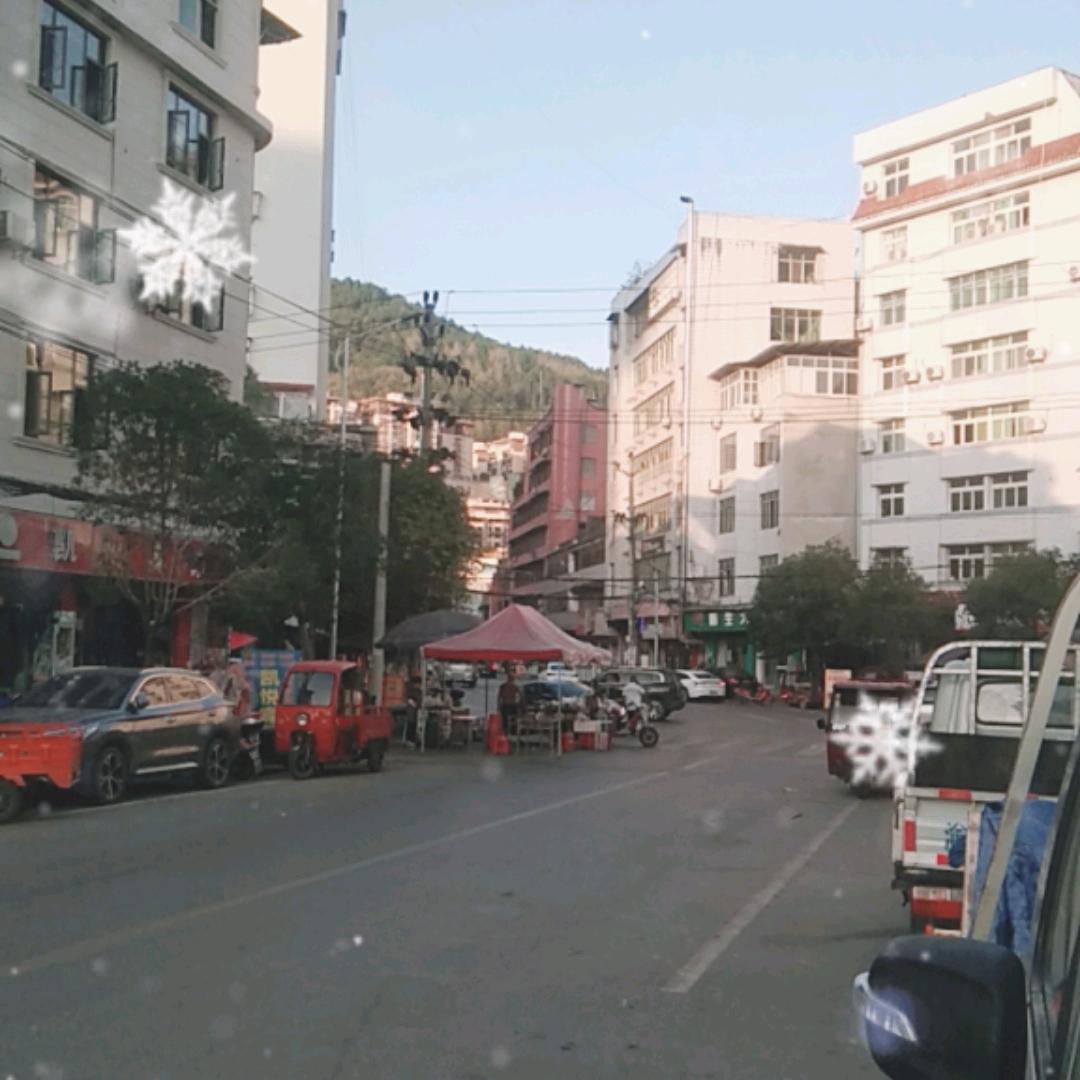 坐在金龙的阳光下