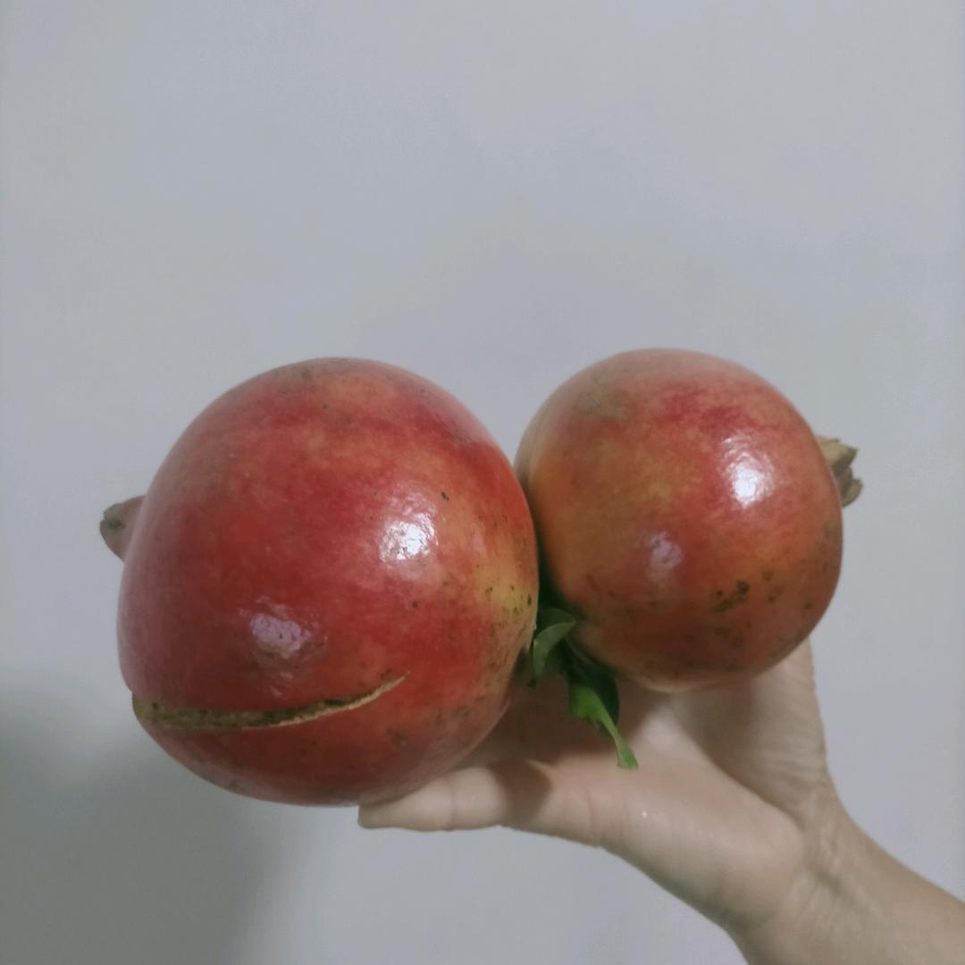 水中龙
