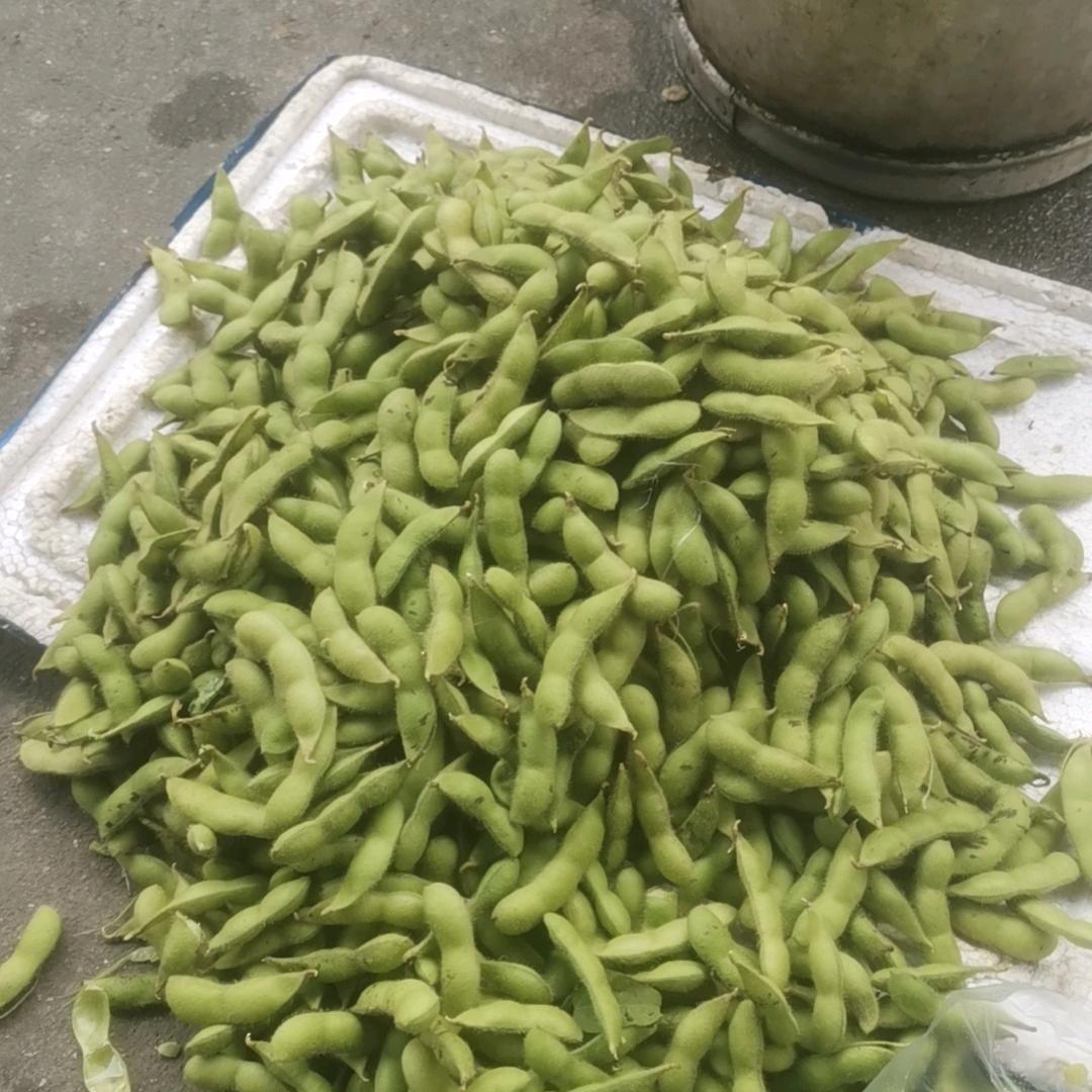 机顶盒信号