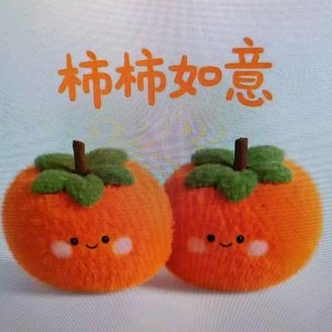 阳光小白