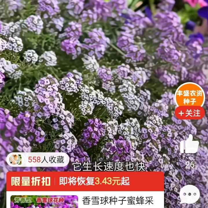 .走自己的路