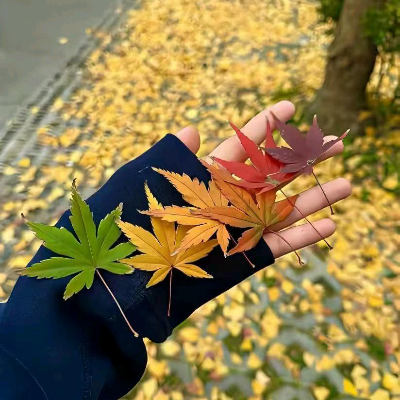 伍怀胜