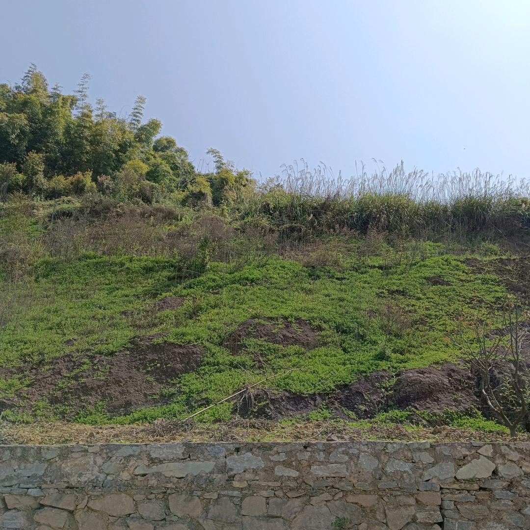 用户9022813108283