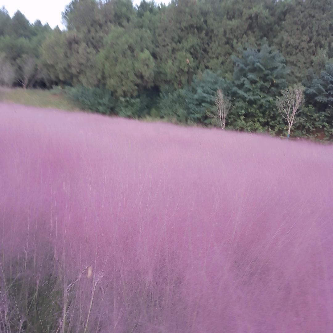 继续努力活好每一天