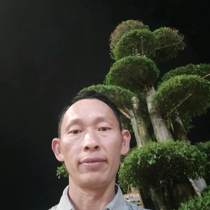 期待明日之美