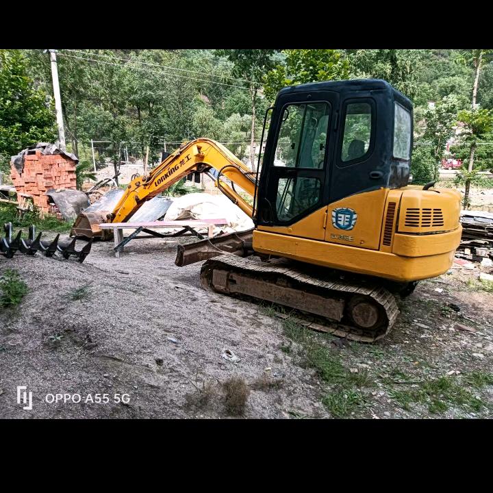 王中称王