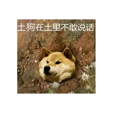 土狗在土里不敢说话