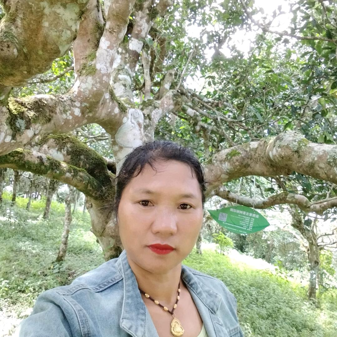 爱一个人好难