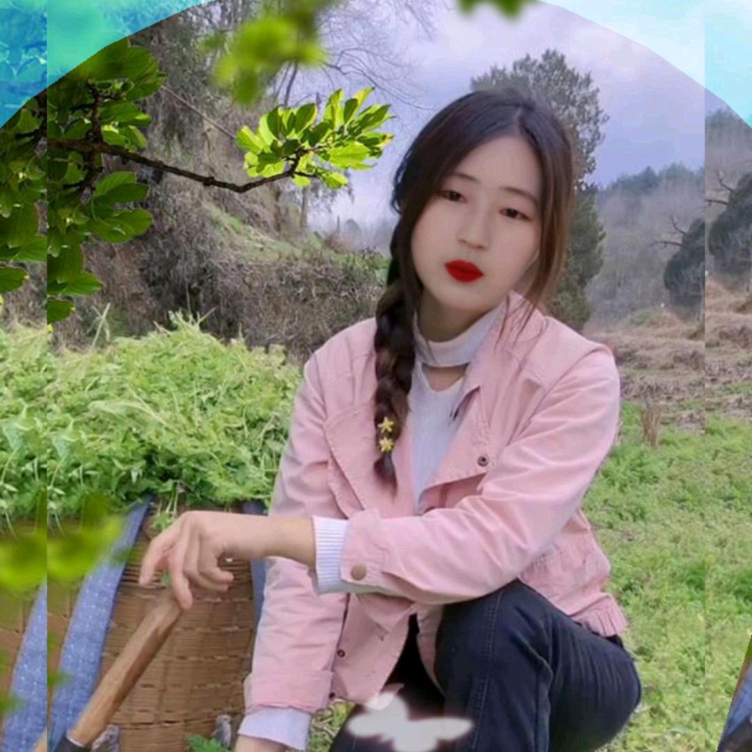 杨芹