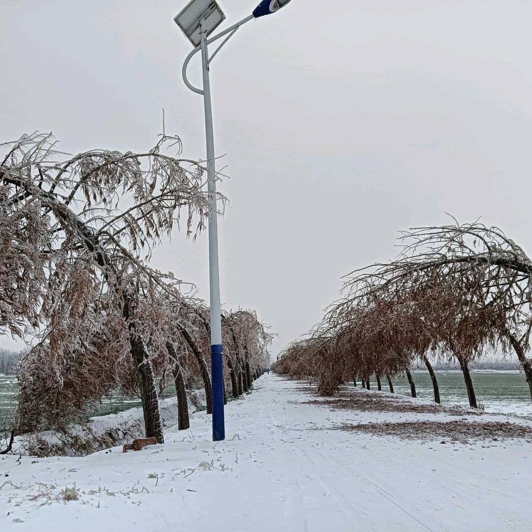 ℳঞ ꦿ残城碎梦 ໌꧔ꦿ᭄