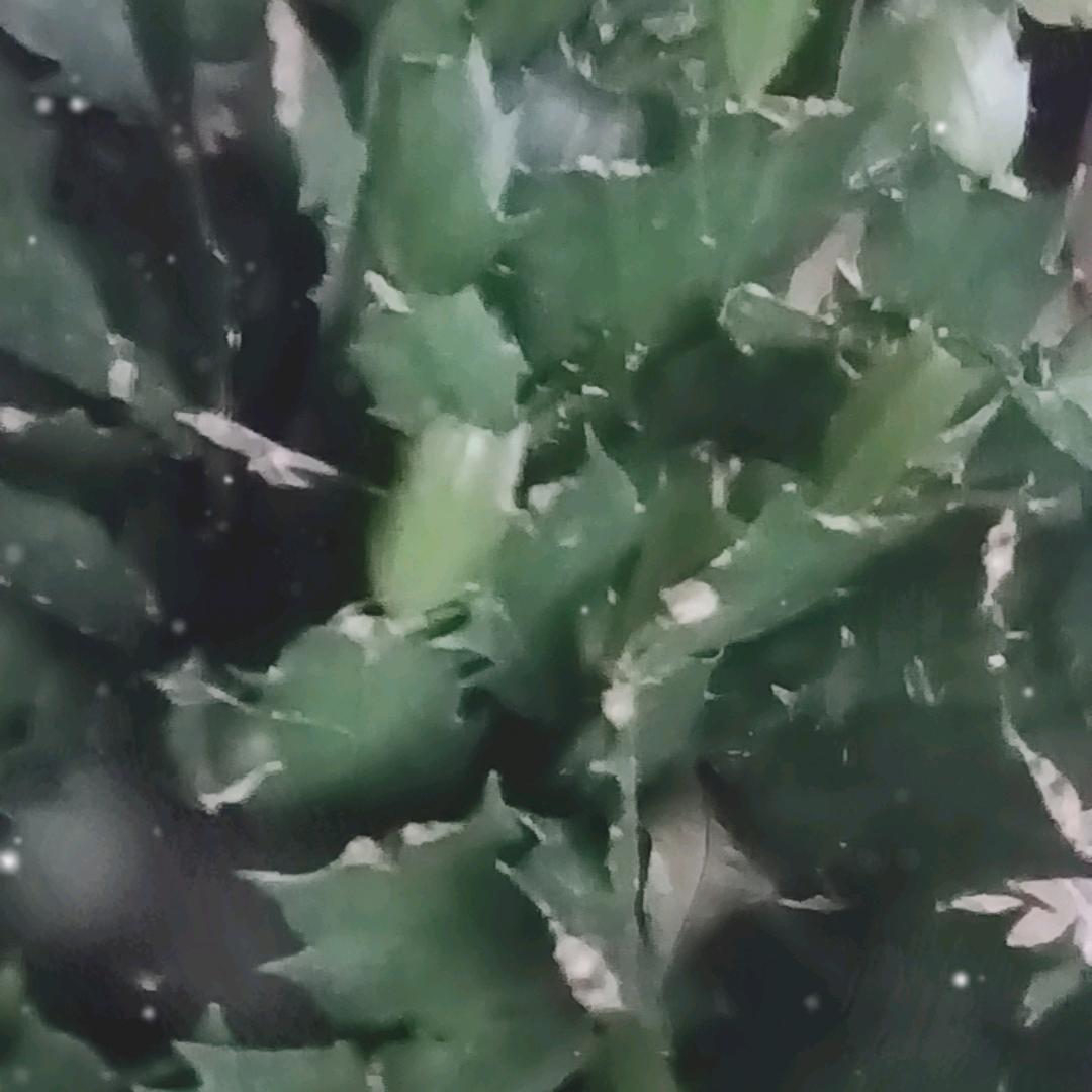命由己造