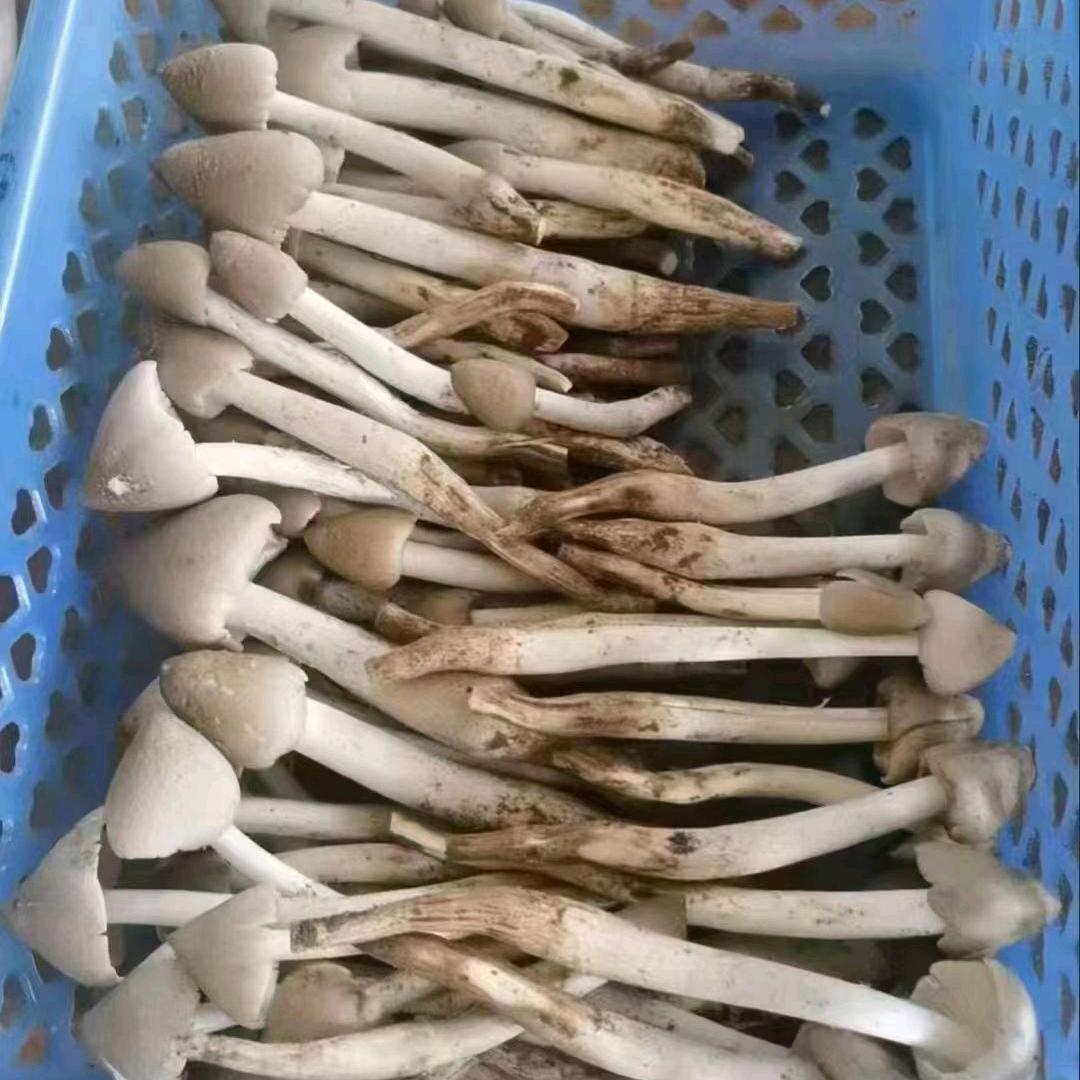 小农好货铺