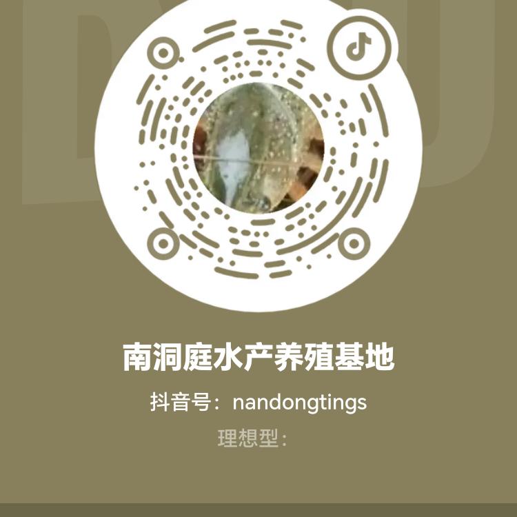 南洞庭水产养殖基地