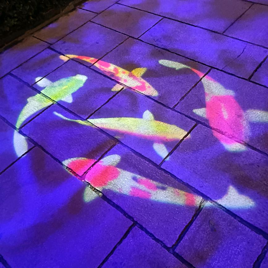 (. ❛ ᴗ ❛.)年年有余(ʘᴗʘ✿)