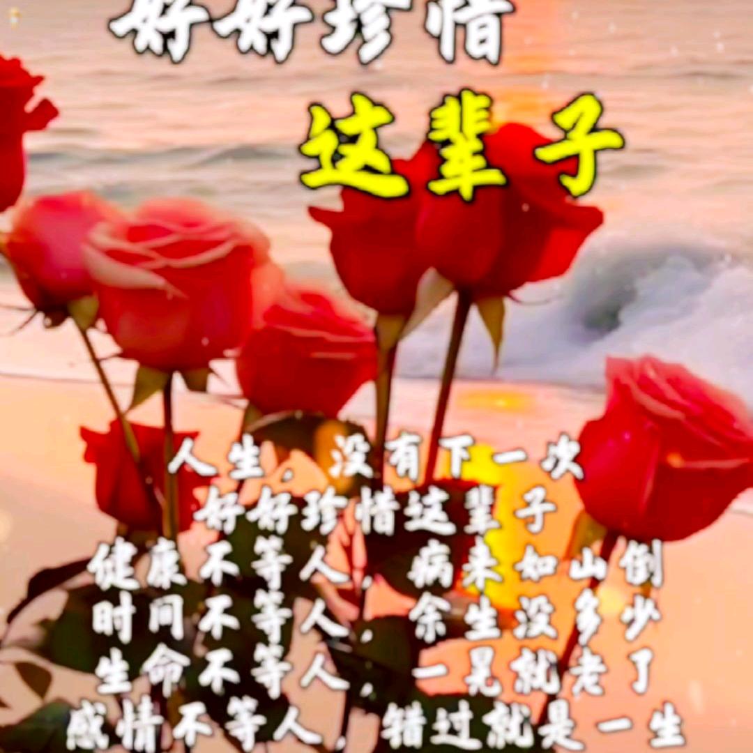 夏未的清风