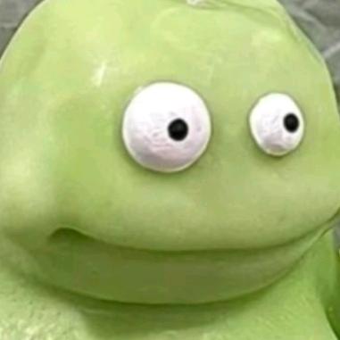 西瓜皮