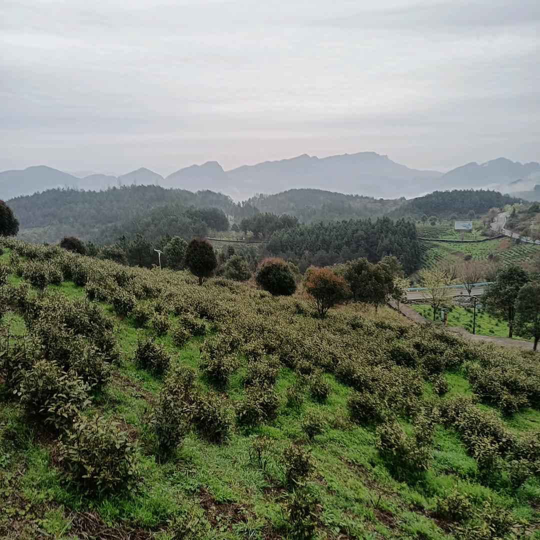 姐💞᭄ღ᭄是限量💞࿐版࿐