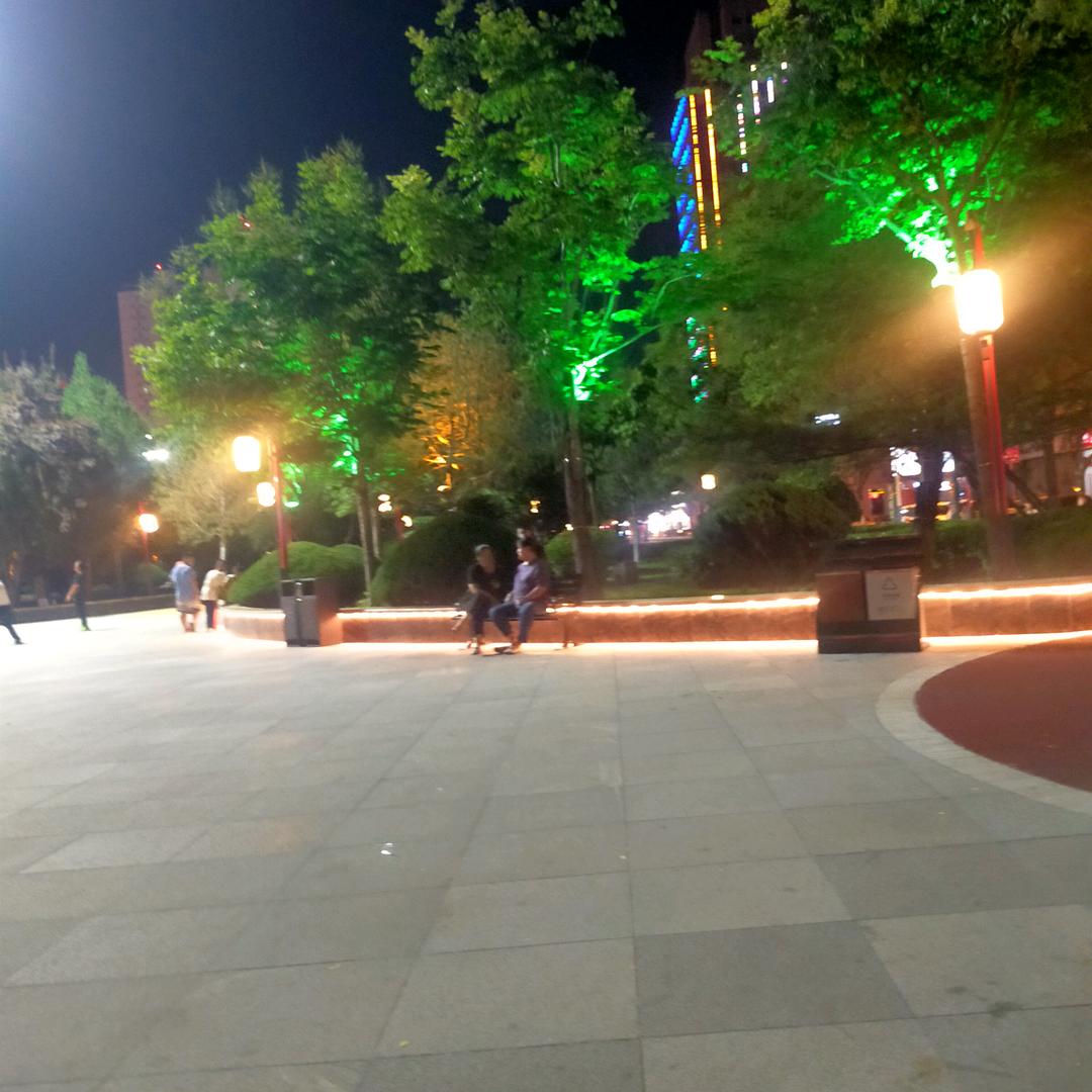 真心换不来真情