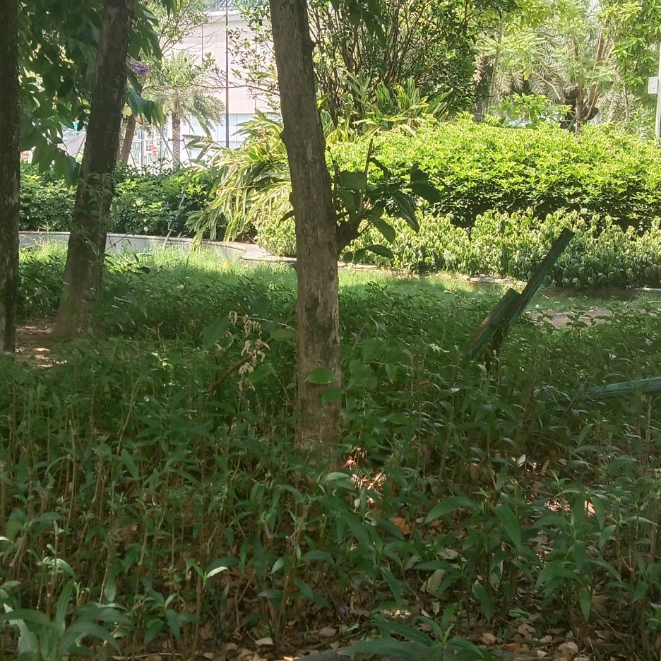 福运