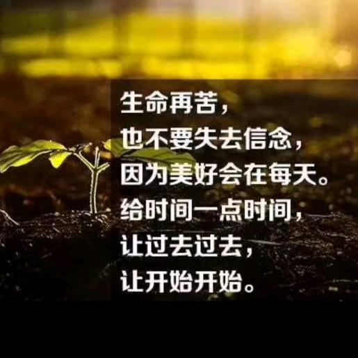静静@