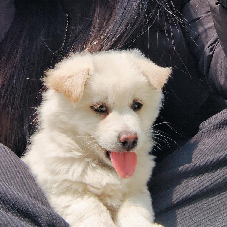 @陈陈