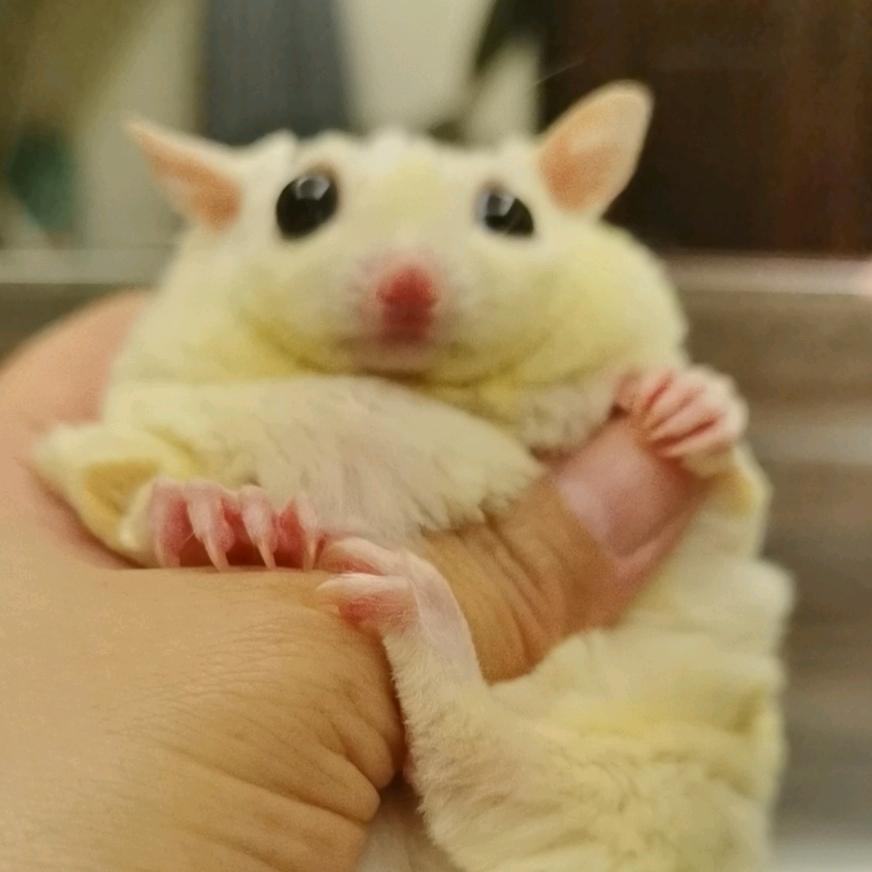妮妮青青头像