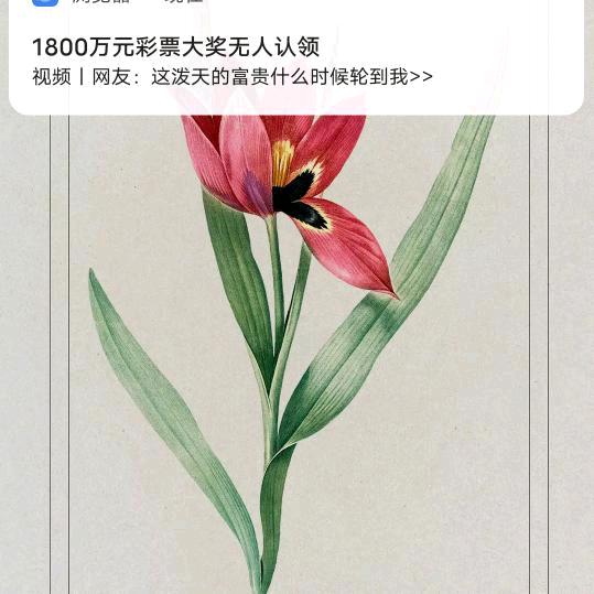 专业茶茶。点风一样