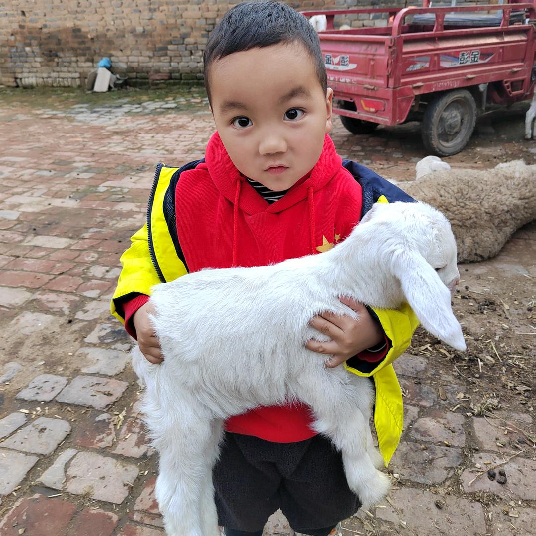 河南闫姐
