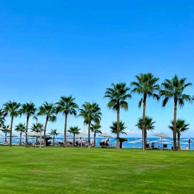 🌹我想静静🍀