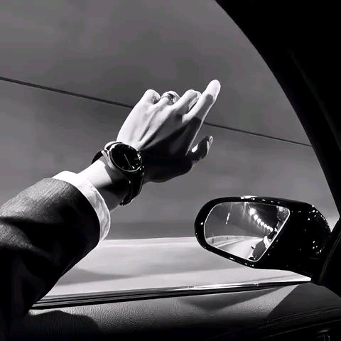 普罗特，蓝斑，比特，实战犬