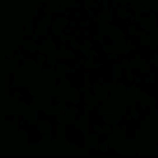 用户2557796321488