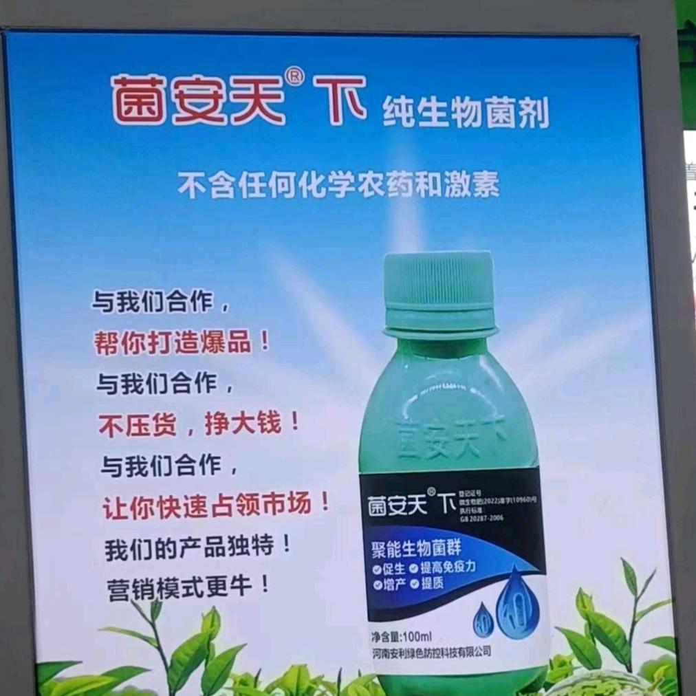 菌安天®下&海涛